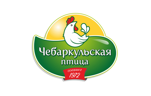 Чебаркульская птица